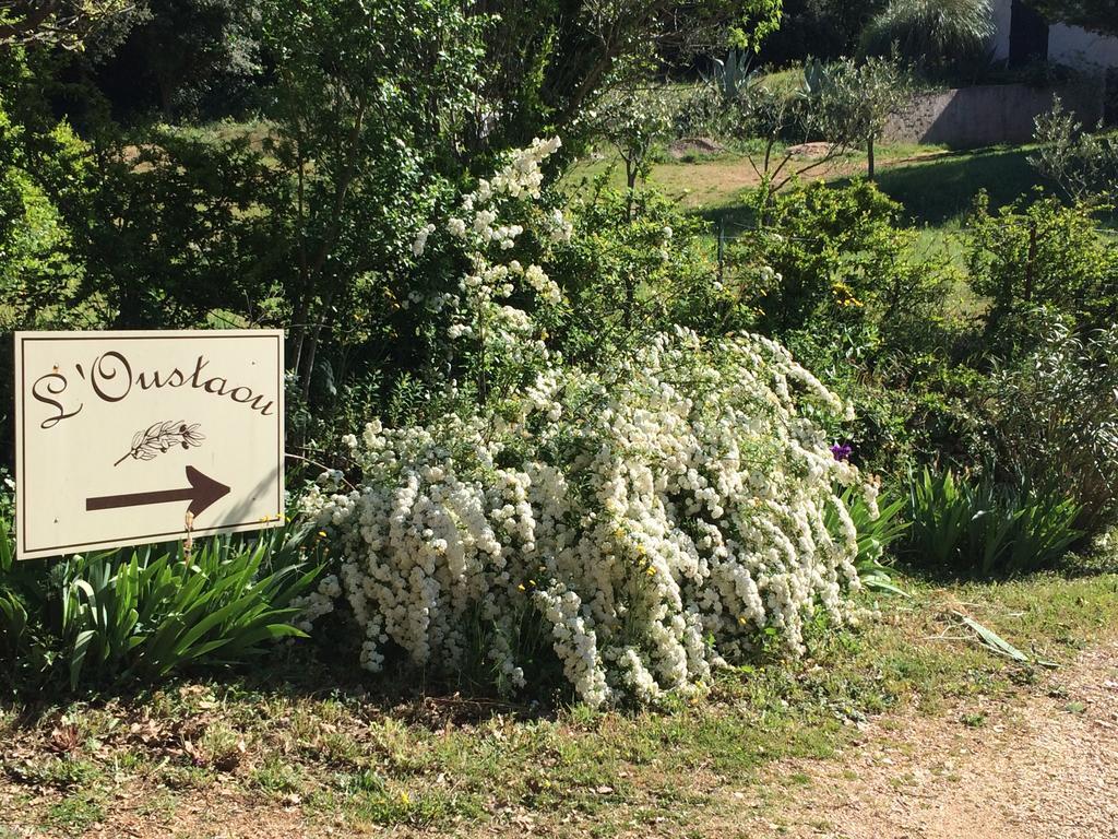 L'Oustaou B&B Piscine & Spa Besse-sur-Issole 외부 사진
