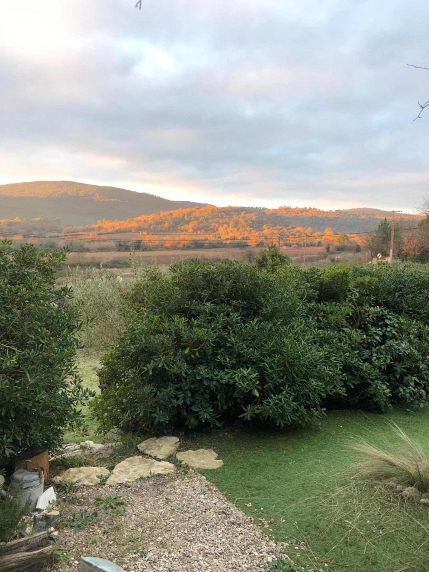L'Oustaou B&B Piscine & Spa Besse-sur-Issole 외부 사진