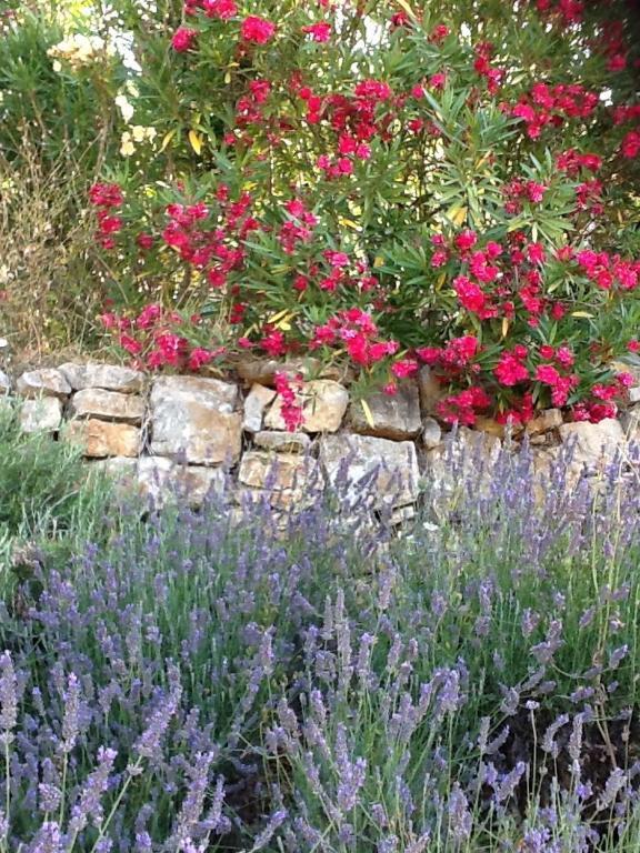 L'Oustaou B&B Piscine & Spa Besse-sur-Issole 외부 사진